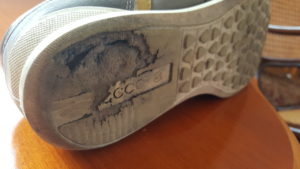 ECCO Sneaker Chander - Schuhsohle zerstört